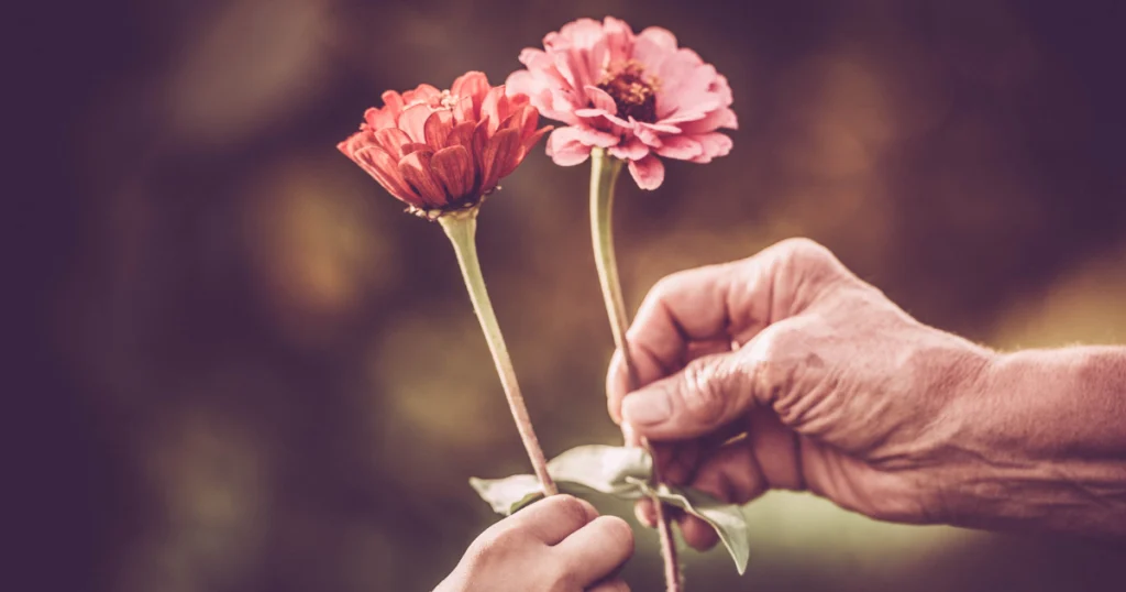 photo de deux mains qui s'offrent des fleurs pour illustrer le soutien par le soin energetique dans le cadre de traitement du cancer en essonne.